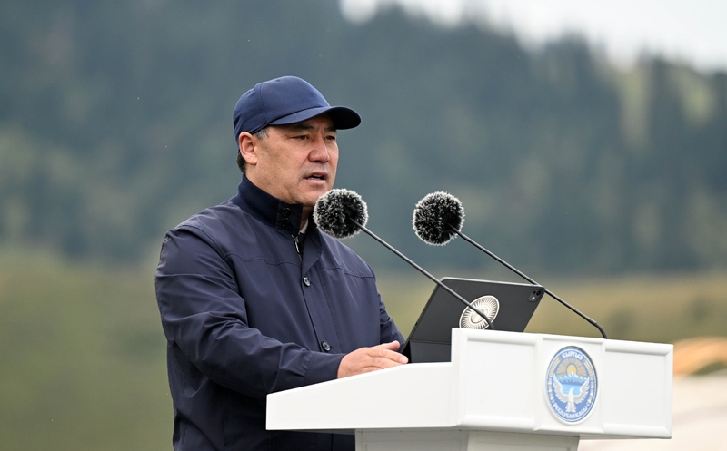 WhatsApp Image 2025-08-13 at 17.48.34.jpeg