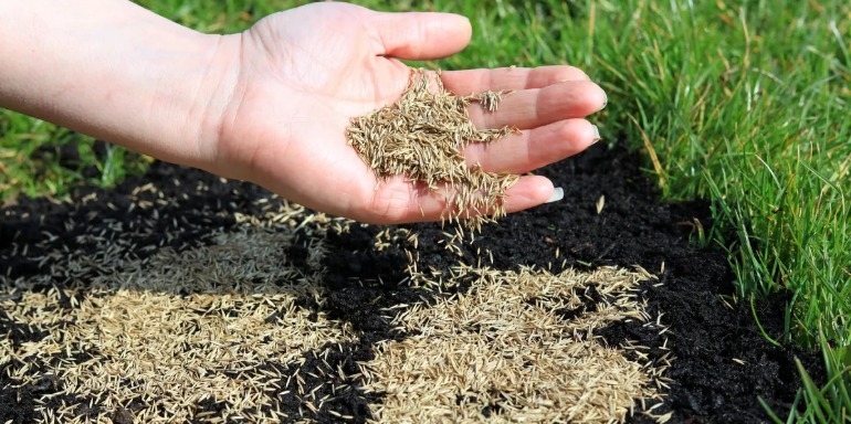 WhatsApp Image 2025-08-13 at 17.57.00.jpeg