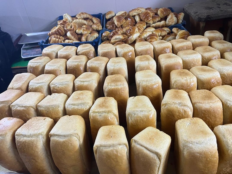 WhatsApp Image 2025-08-14 at 08.58.08 (2).jpeg