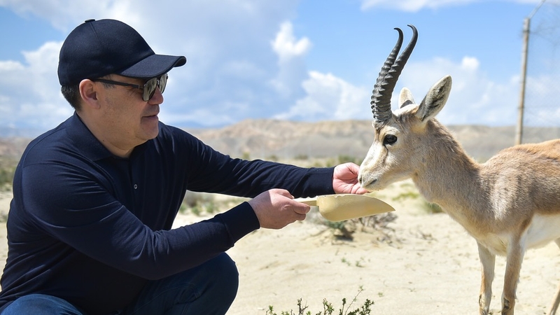 WhatsApp Image 2025-08-18 at 17.15.11.jpeg