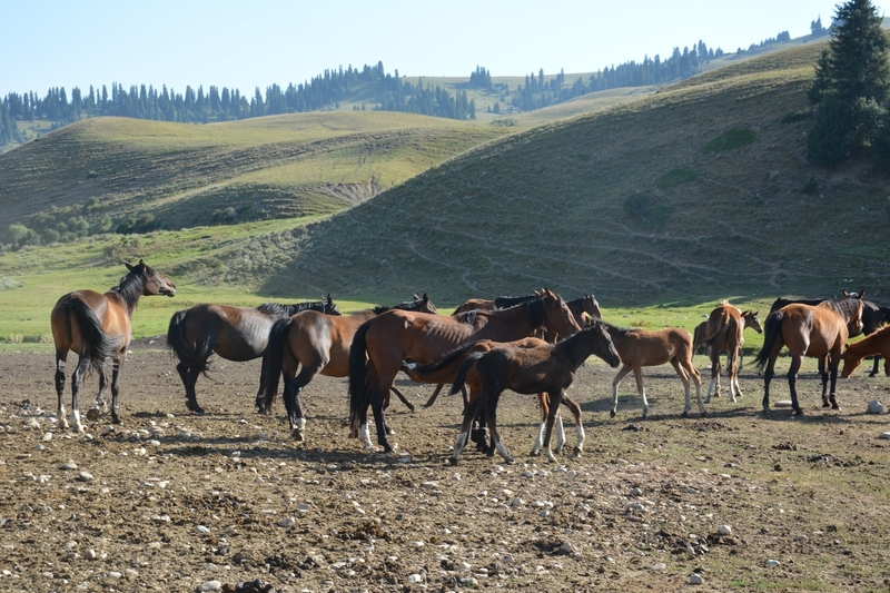 WhatsApp Image 2025-08-19 at 16.42.27 (1).jpeg