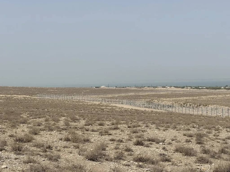 WhatsApp Image 2025-09-11 at 19.03.42.jpeg