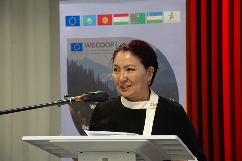 WhatsApp Image 2025-10-07 at 15.05.14.jpeg