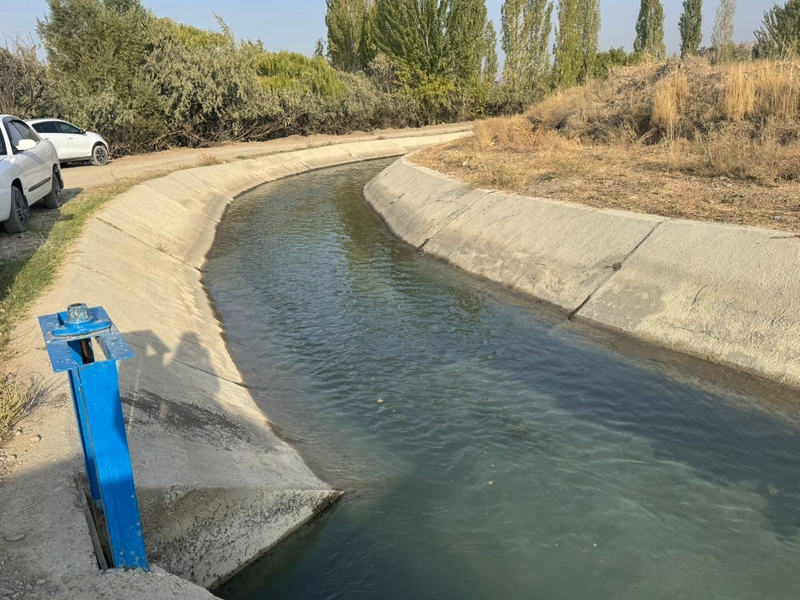 WhatsApp Image 2025-10-10 at 15.07.45 (2).jpeg