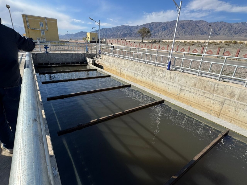 WhatsApp Image 2025-10-10 at 16.28.22 (3).jpeg