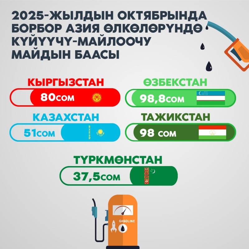 WhatsApp Image 2025-10-10 at 18.11.17.jpeg