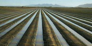 WhatsApp Image 2025-10-14 at 05.32.29.jpeg