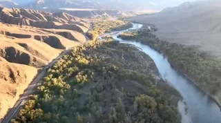 WhatsApp Image 2025-10-16 at 07.58.44.jpeg