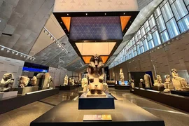 WhatsApp Image 2025-11-03 at 09.57.57.jpeg