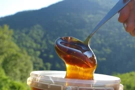 WhatsApp Image 2025-11-03 at 12.34.31.jpeg