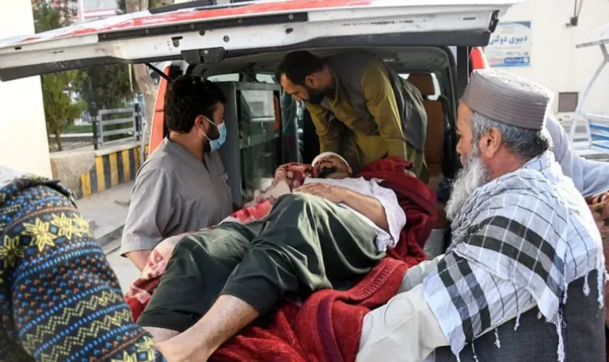 WhatsApp Image 2025-11-03 at 17.29.23.jpeg