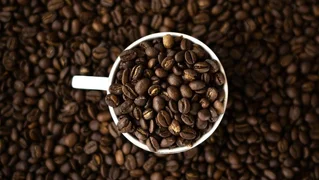 WhatsApp Image 2025-11-07 at 12.59.48.jpeg