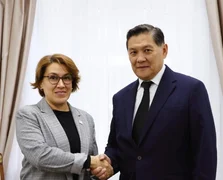 WhatsApp Image 2025-11-07 at 17.20.17.jpeg