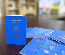 WhatsApp Image 2025-11-12 at 09.44.39.jpeg