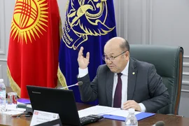 WhatsApp Image 2025-11-19 at 11.41.51.jpeg