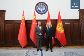 WhatsApp Image 2025-11-19 at 15.46.25 (4).jpeg