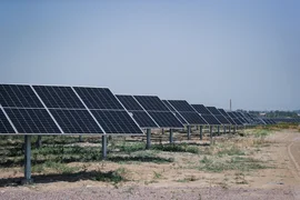 WhatsApp Image 2025-11-24 at 18.21.22.jpeg