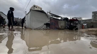 WhatsApp Image 2025-11-26 at 08.33.05.jpeg