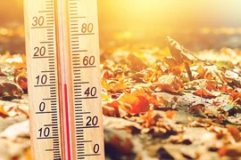 WhatsApp Image 2025-11-27 at 12.47.12 (2).jpeg