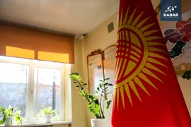 WhatsApp Image 2025-11-30 at 20.48.28.jpeg