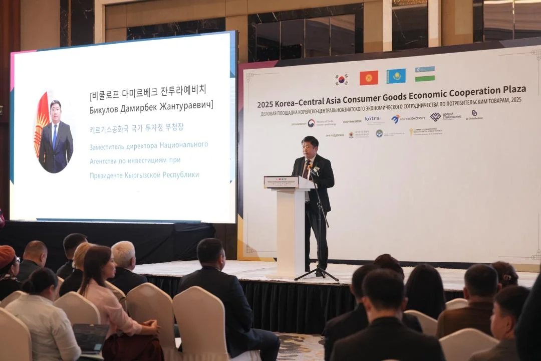 WhatsApp Image 2025-12-04 at 12.27.33.jpeg