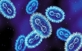 WhatsApp Image 2025-12-09 at 08.00.28.jpeg