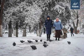 WhatsApp Image 2025-12-10 at 11.57.29 (1).jpeg