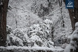 WhatsApp Image 2025-12-10 at 14.57.30.jpeg