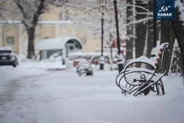 WhatsApp Image 2025-12-10 at 14.57.28.jpeg