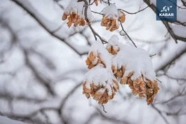 WhatsApp Image 2025-12-10 at 14.57.27.jpeg