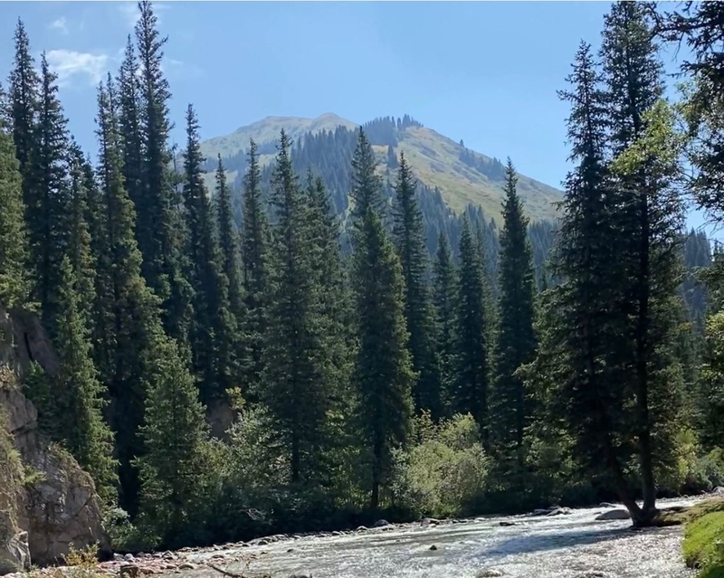 WhatsApp Image 2025-12-11 at 16.11.23.jpeg