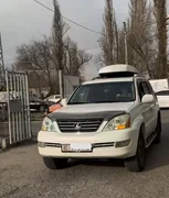 WhatsApp Image 2025-12-13 at 13.06.37.jpeg