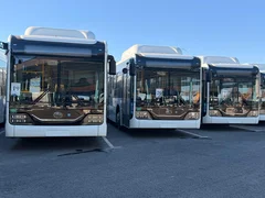 WhatsApp Image 2025-12-15 at 11.08.57.jpeg