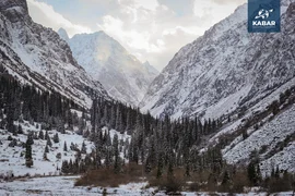 WhatsApp Image 2025-12-16 at 13.52.48 (1).jpeg