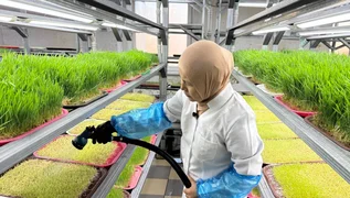 WhatsApp Image 2025-12-17 at 07.19.10 (1).jpeg