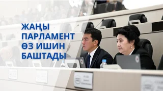 WhatsApp Image 2025-12-17 at 17.50.57.jpeg