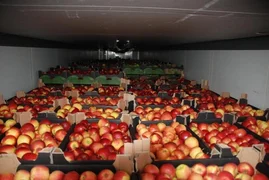 WhatsApp Image 2025-12-18 at 09.32.31 (1).jpeg