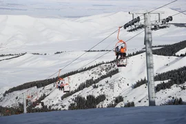 WhatsApp Image 2025-12-22 at 14.56.22.jpeg