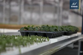 WhatsApp Image 2025-12-22 at 15.04.45.jpeg