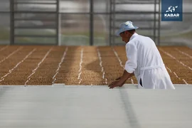 WhatsApp Image 2025-12-22 at 15.04.43.jpeg