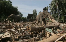 WhatsApp Image 2025-12-23 at 06.46.22.jpeg