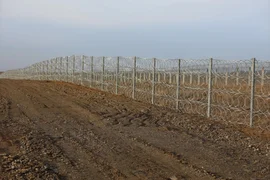 WhatsApp Image 2025-12-23 at 12.33.28.jpeg