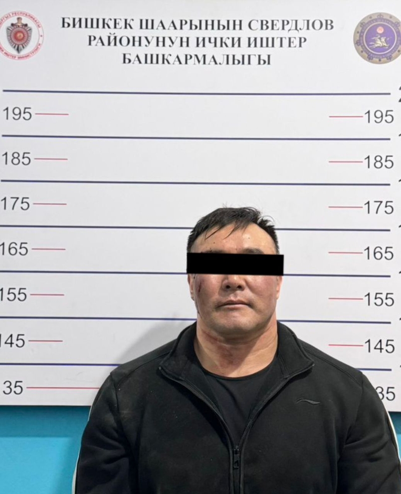 WhatsApp Image 2025-12-24 at 11.43.26.jpeg