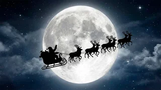 WhatsApp Image 2025-12-25 at 08.20.27.jpeg