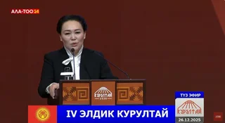 WhatsApp Image 2025-12-26 at 11.31.42.jpeg