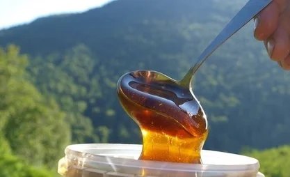 Кыргызстандын балы Азия жана Жакынкы Чыгыш өлкөлөрүн багындырууда