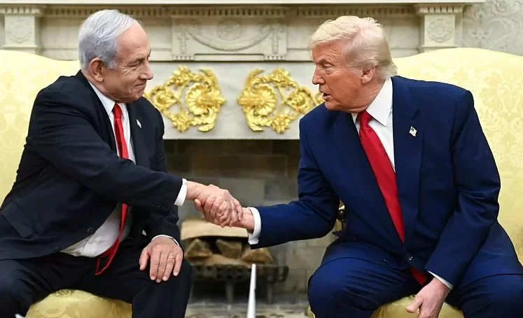 WhatsApp Image 2025-04-08 at 15.01.40.jpeg