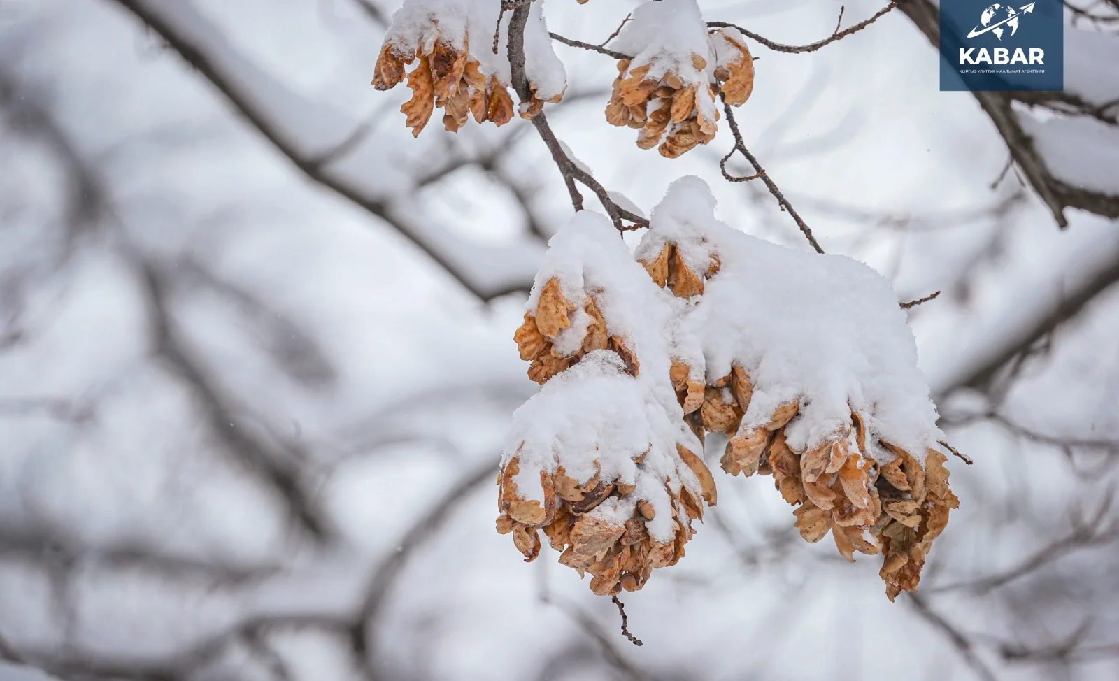 WhatsApp Image 2025-12-10 at 14.57.27.jpeg