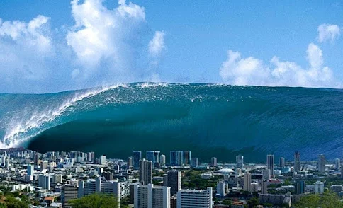 WhatsApp Image 2025-07-03 at 10.17.34.jpeg