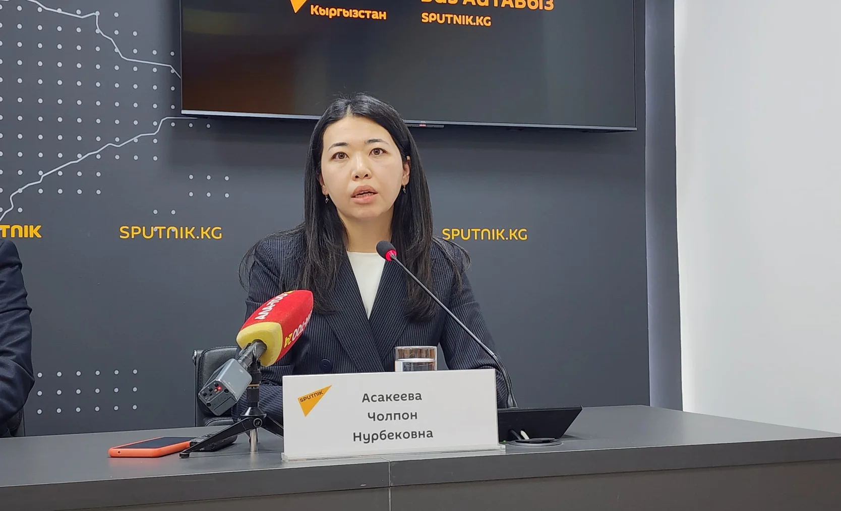 WhatsApp Image 2025-04-24 at 09.35.28.jpeg